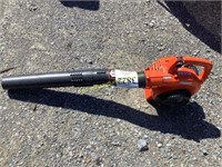 D1. echo Leaf blower condition unknown