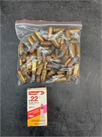 ~ 45 Auto Ammo & 22LR