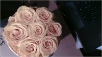 Houele Roses Preserved Flower Rose Box