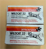 Winchester WildCat 22 Ammunition (2 Packs)  High