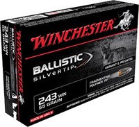 Winchester Ammo SBST243 Ballistic Silvertip Huntin
