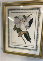 Framed Magnolia Print 23x19”