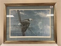 Robert Bateman Eagle Print 36' x 46" frame