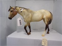 701725/ Migwan Indian Pony