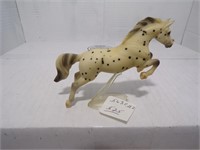 5620 Mold/ Warmblood