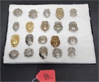 Lot of (20) Fire Department Badges