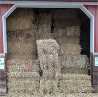 Large Lot of Small Square Bales of Straw