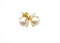 Pearl & 9ct yellow gold stud earrings