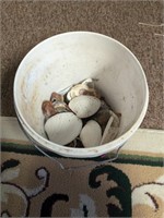Bucket of shells