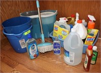 Household Cleaning Supplies & Chemicals: