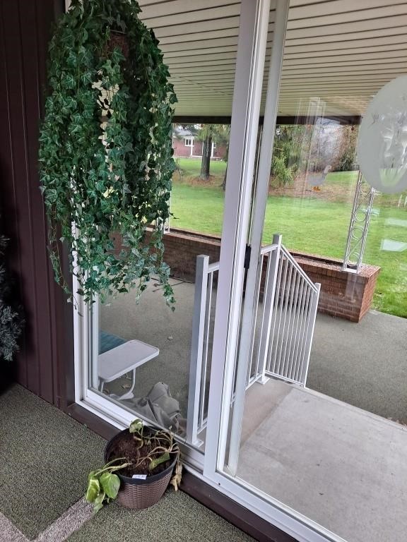 Hanging artificial fern and potted plant