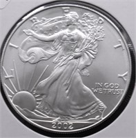 2002 SILVER EAGLE GEM