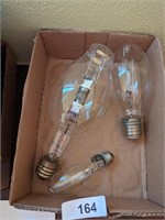 (2) Large Light Bulbs