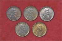 5 - 1909 VDB Lincoln Head Wheat Pennies