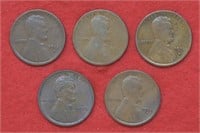 5 - Lincoln head Pennies (11d,12,12d,13d,13s)