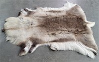 Genuine Scandinavian Reindeer Skin / Rug / Hide