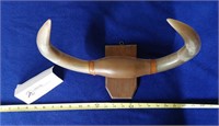 Bull Horns