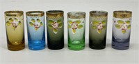 6 Bohemian Czech Enameled Floral Shot Glasses