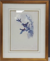 Lg Vtg RenWil Annas Hummingbirds Art Print
