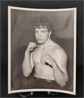 Vintage Boxer photo