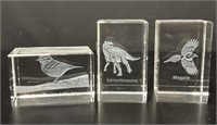3 Crystal Laser Etched Paper Weights