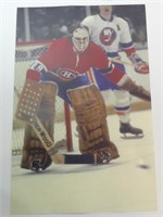 Ken Dryden - Montreal Canadiens Poster 11 x 17