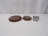 2 Glass Dome Displays