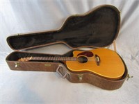 Alvarez Guitar in Hard Brown Case