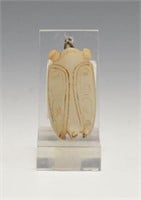 Old Chinese Carved Jade Cicada Pendant.