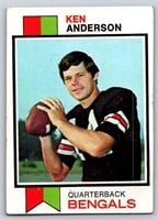 1973 Topps Football Lot of 10 Cards Anderson Ham