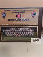 Cubs 1984 Nation League Eastern Division Champions