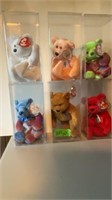 TY Beanie Baby Bears in Cases,(6)