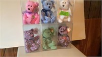 TY Beanie Babies Bears in Cases(6)
