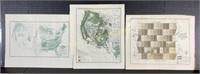 Three 1893 US Forestry Maps