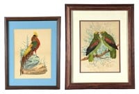 (2) Bird Watercolor Artworks w/ Real Feathers