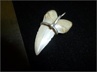 Fossilized Shark's Tooth & Silver Wire Pendant