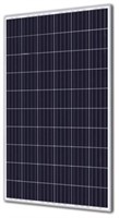 Lot of (32) Talesun Photovoltaic Solar Panels