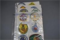 (21) Cadet Girl Scout patches