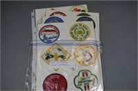 (24) Cadet Girl Scout patches