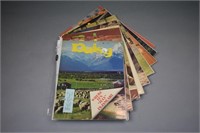 (9) Daisy Magazines 1977 complete set