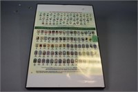 Framed poster on fact try-its senior Girl Scout