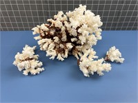 REAL WHITE CORAL LARGE W/ PIECES