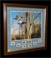 "Tight Quarters" by David Maass framed duck