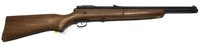 Crosman 140 .22 Cal. air rifle