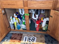 Lower cabinet cleaning supplies
