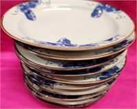 320 - 10 PIECES ASIAN BLUE & WHITE WARE PLATES