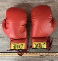 Everlast 2926 Boxing Gloves