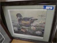 "Wood Duck and Water Lilies" signed print - 432/