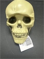 Skull decor