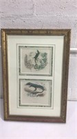 Antique French Lizard Prints K15E